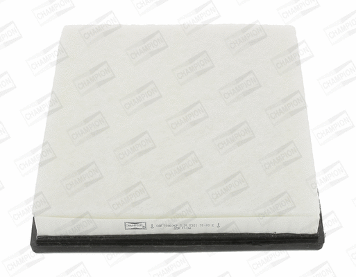 CHAMPION CAF100875P