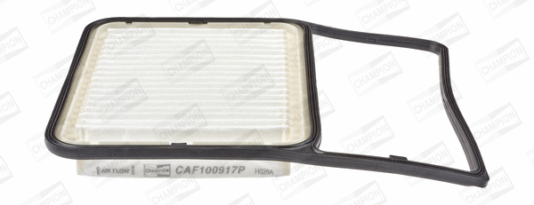 CHAMPION CAF100917P