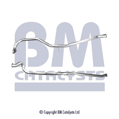 BM CATALYSTS BM50221