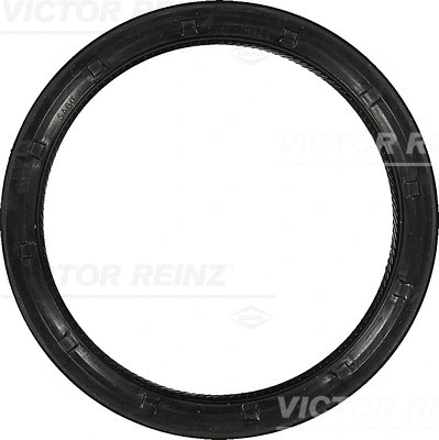 VICTOR REINZ 813761100