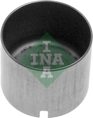 INA 421001210