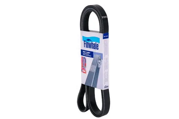FINWHALE BP6PK955