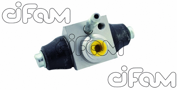 CIFAM 101598