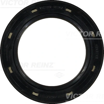 VICTOR REINZ 812624810