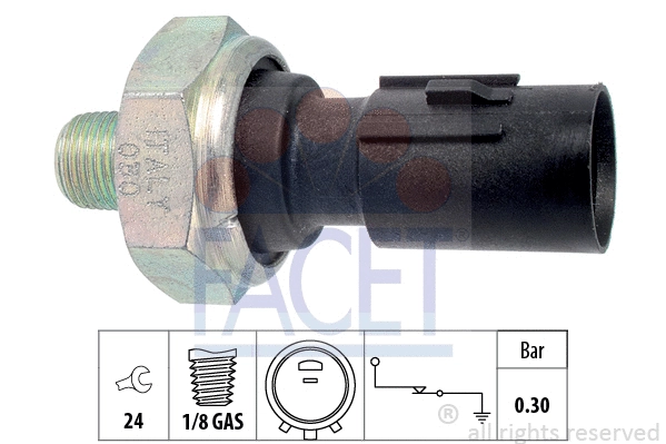 FACET 70195