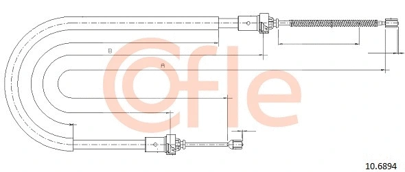 COFLE 106894