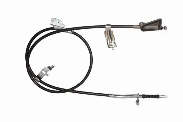 CAVO 3702703