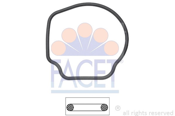 FACET 79643