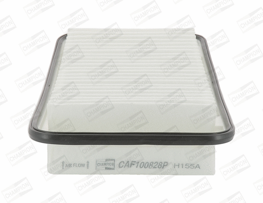 CHAMPION CAF100828P