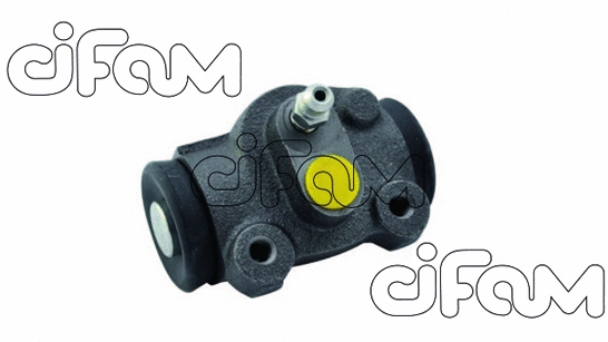CIFAM 101691