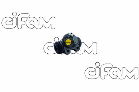 CIFAM 101176