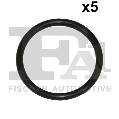 FA1 076389005
