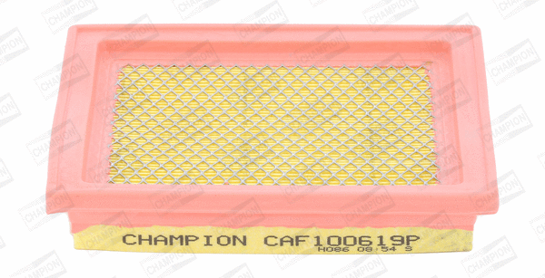 CHAMPION CAF100619P