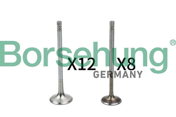 BORSEHUNG B18635