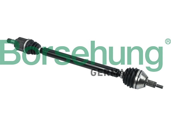 BORSEHUNG B18418