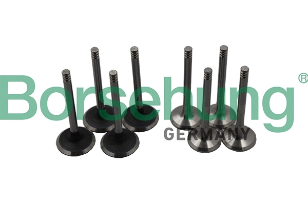 BORSEHUNG B18640