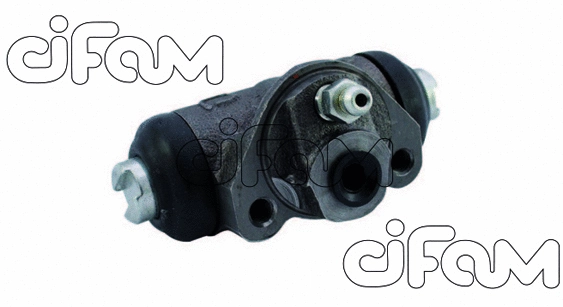CIFAM 101072