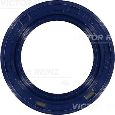 VICTOR REINZ 815323700