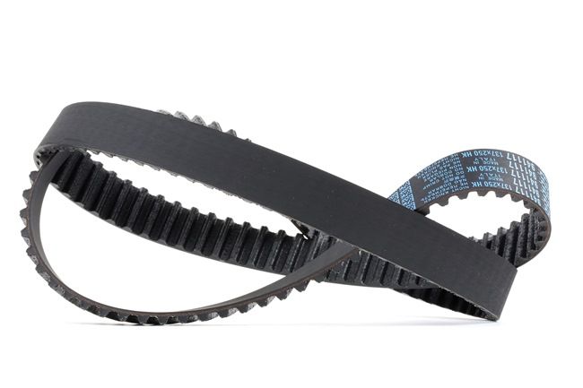 DAYCO 94638