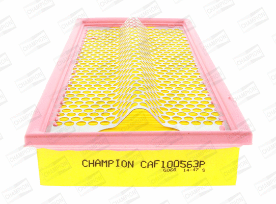 CHAMPION CAF100563P