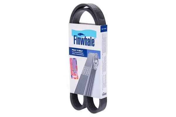 FINWHALE BP6PK1019E