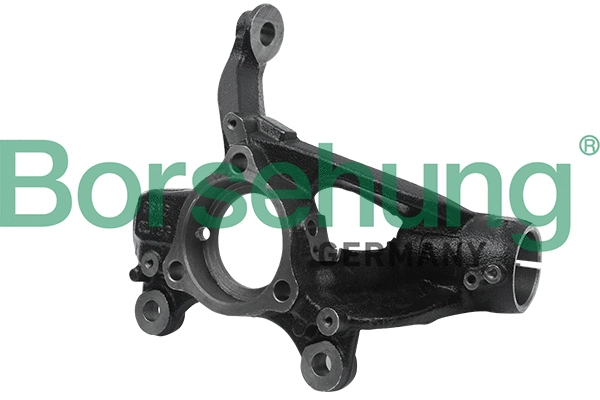 BORSEHUNG B18509