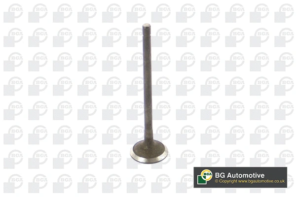 BGA V541212