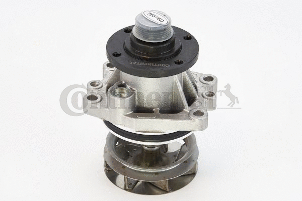 CONTITECH WPS3243