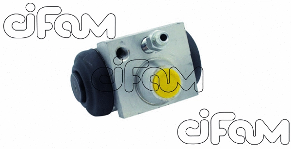CIFAM 101872