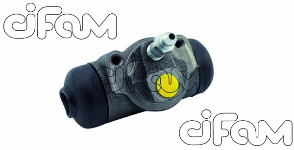 CIFAM 101376