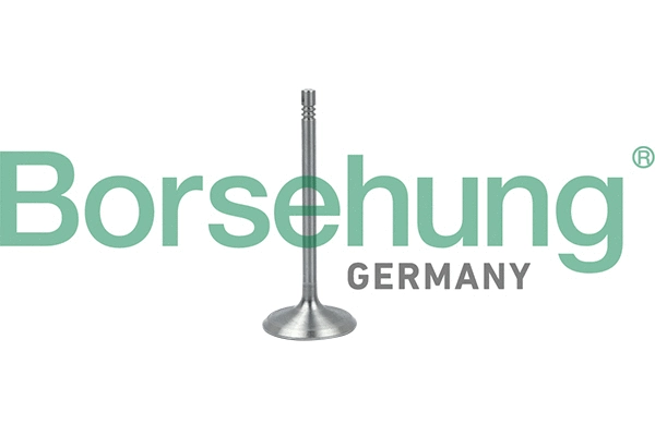 BORSEHUNG B19017