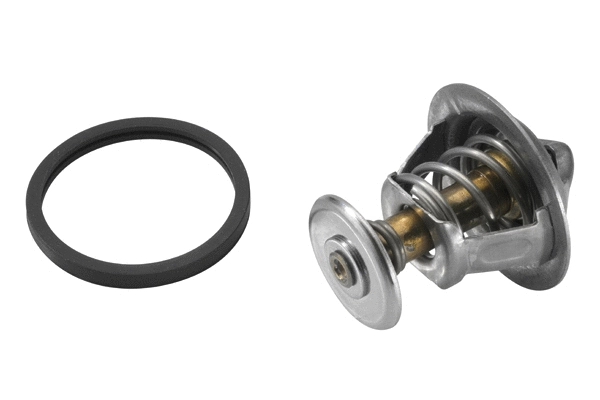 WAHLER 482189D