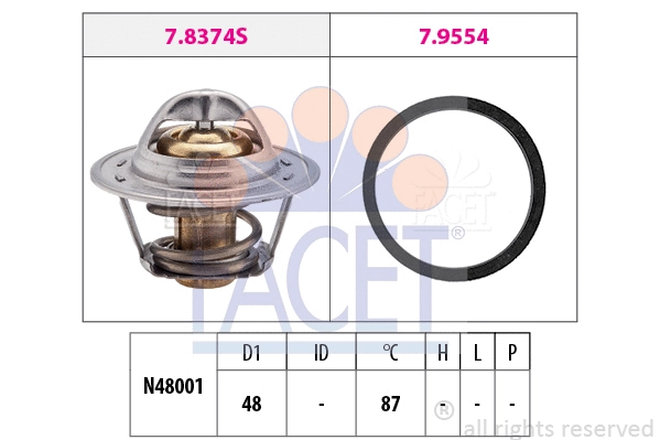 FACET 78374