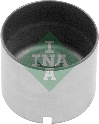 INA 421000510