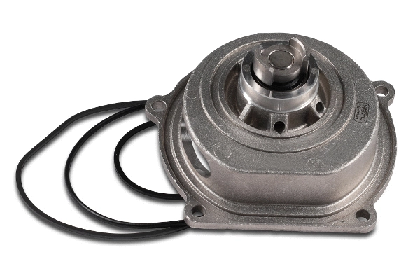 HEPU P049