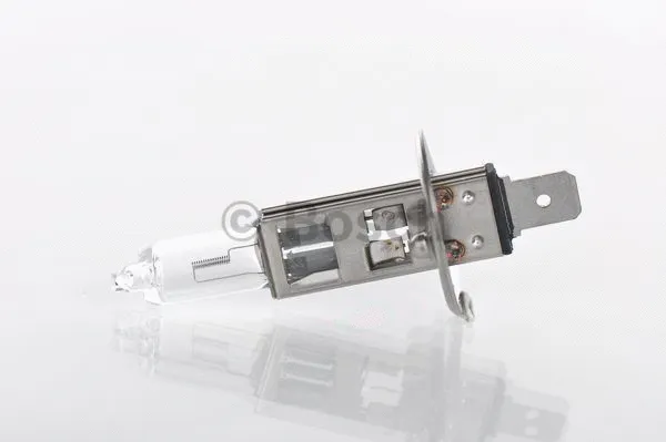 BOSCH 1987302019