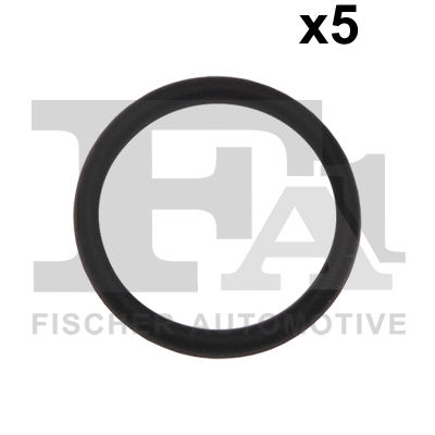 FA1 076463005