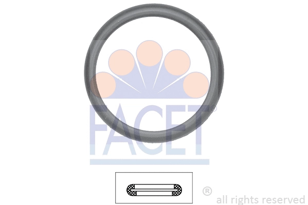 FACET 79598