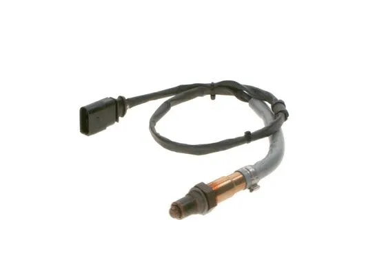 BOSCH 0258006895