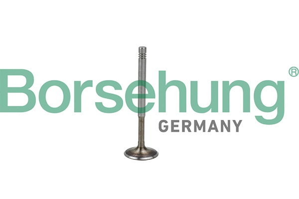 BORSEHUNG B19009