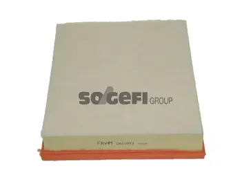 FRAM CA11013
