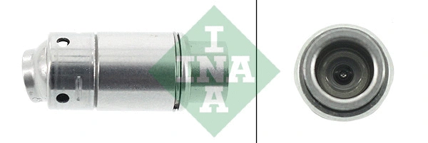 INA 420006310