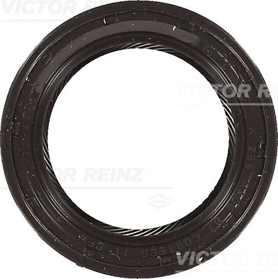 VICTOR REINZ 813562700