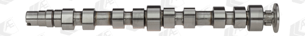 AE CAM925