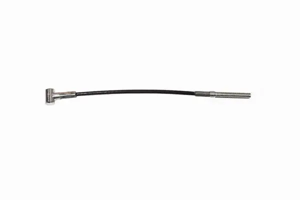CAVO 3702610