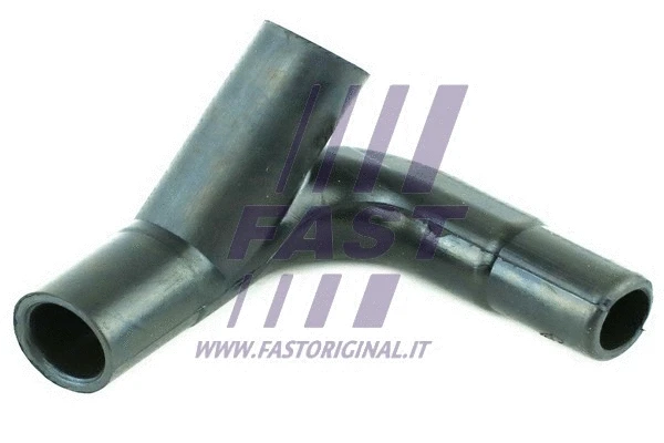 FAST FT61683