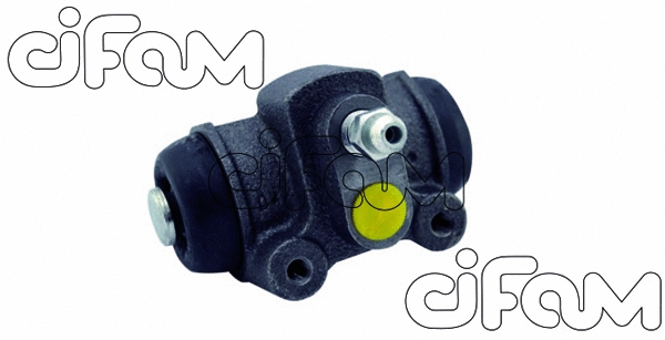CIFAM 101667