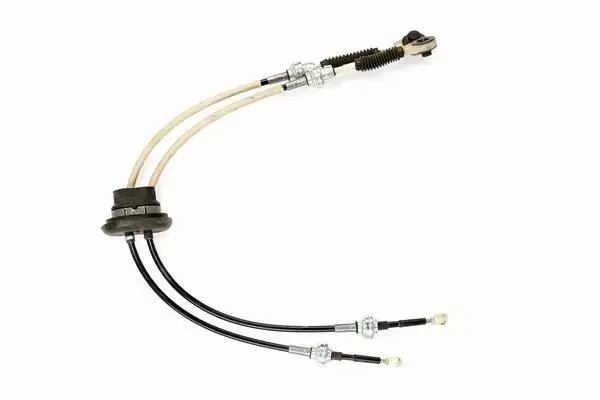 CAVO 6014614