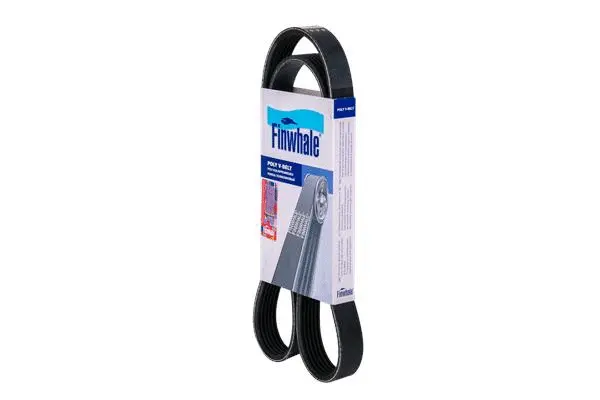 FINWHALE BP6123