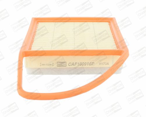 CHAMPION CAF100916P